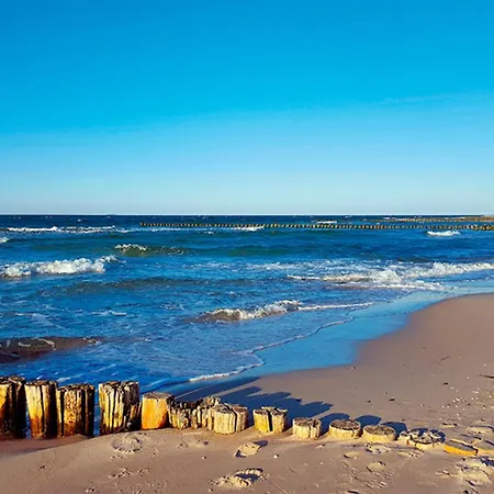 Sanddorn, Sanddorn Lejlighed