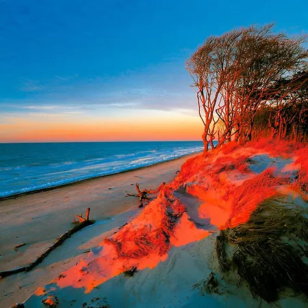 Lejlighed Sanddorn, Sanddorn Prerow